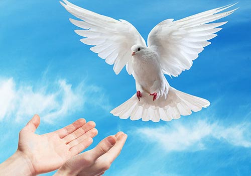 3 conceptos errados sobre el espíritu Santo