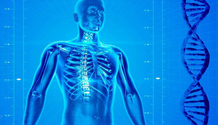 8 datos curiosos que no todos conocen de la salud humana