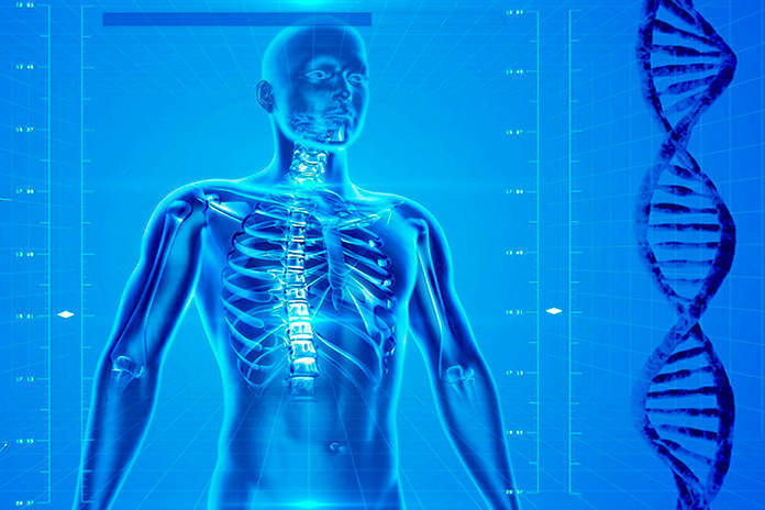 8 datos curiosos que no todos conocen de la salud humana