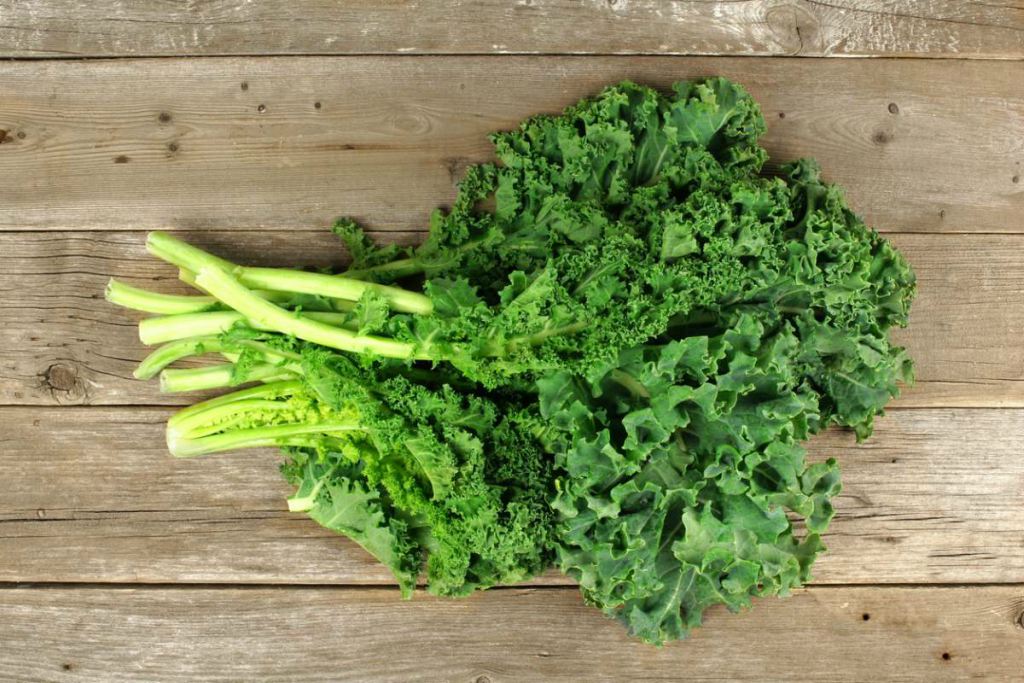 Beneficios del kale, una hortaliza saludable para el cuerpo