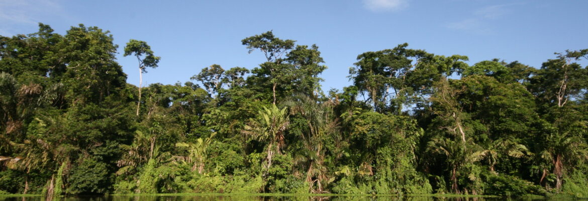 Tortuguero en Costa Rica. Foto de Steffen. Flickr.