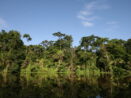Tortuguero en Costa Rica. Foto de Steffen. Flickr.