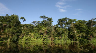 Tortuguero en Costa Rica. Foto de Steffen. Flickr.